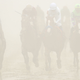 Illustration for article titled The Preakness Was A Foggy, Muddy, Wonderful Mess